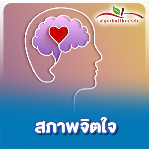 การทำความเข้าใจและปรับปรุง สภาพจิตใจ ในประเทศไทย